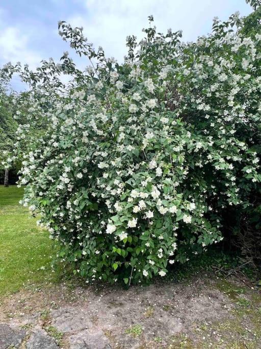 Gite De La Petite Fourmy Saint-Sulpice-les-Feuilles Kültér fotó