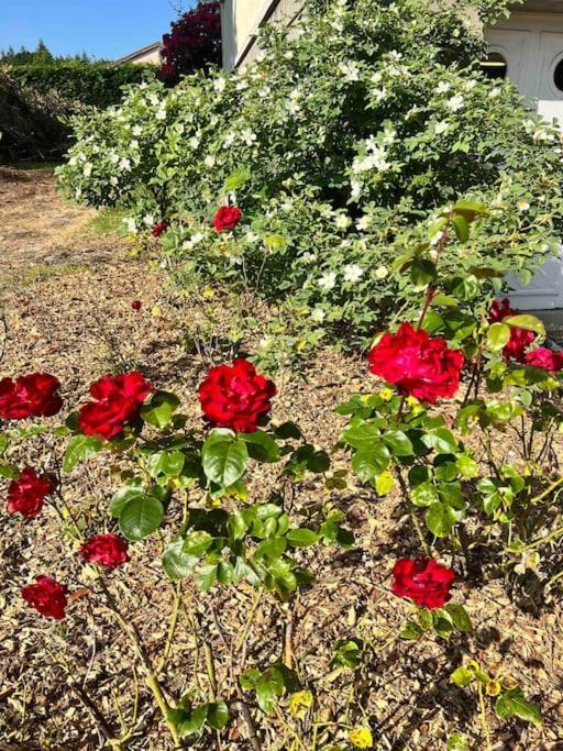 Gite De La Petite Fourmy Saint-Sulpice-les-Feuilles Kültér fotó